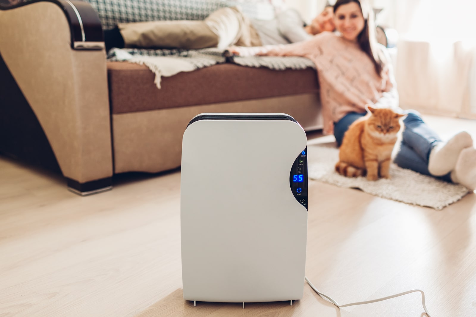 List of the Best Dehumidifiers