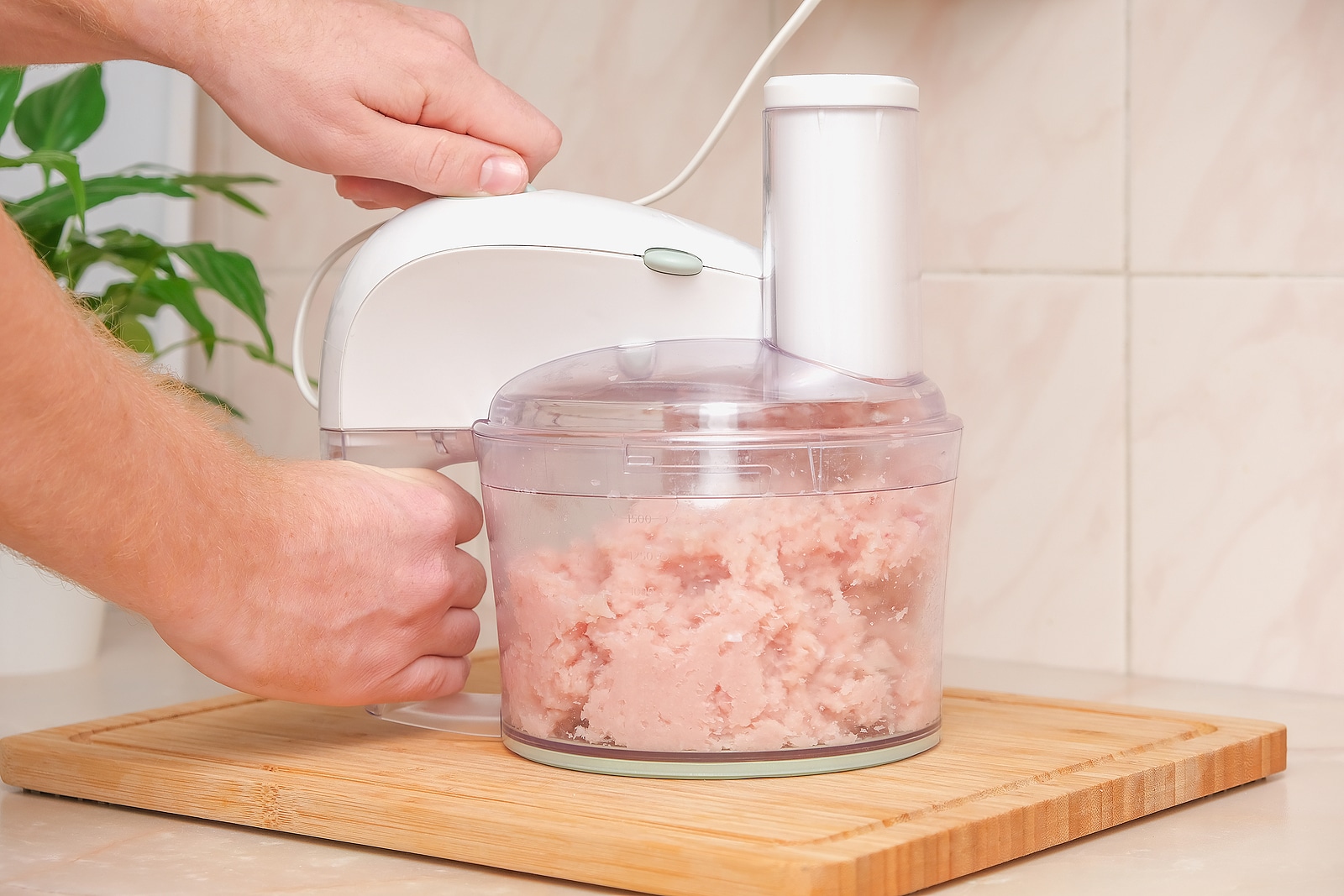 Food Processor With Pieces Chicken Breast Process Of Cooking 