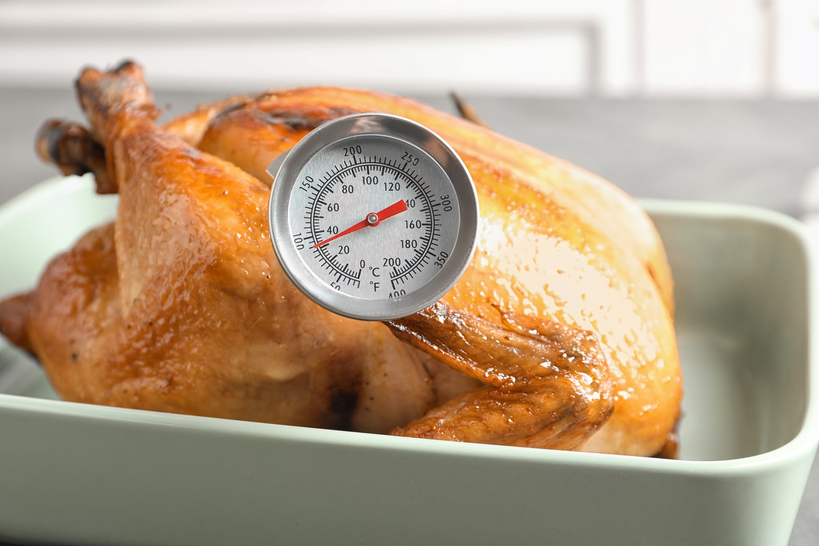 List of the Best Meat Thermometers