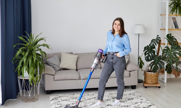 Choosing the Right Wet-Dry Vacuum: A Comprehensive Guide